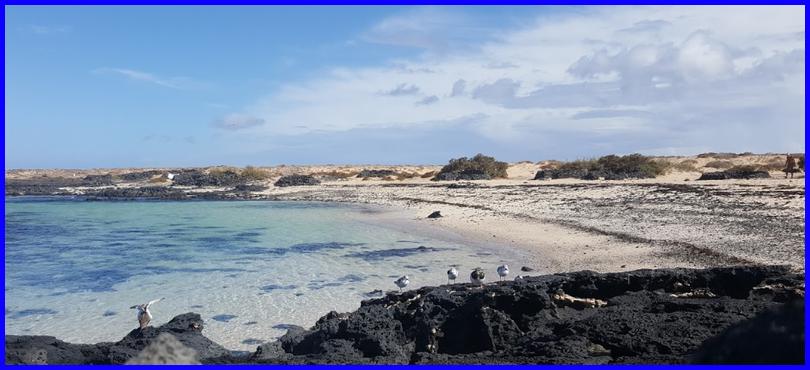 Imagen de Playa de Los Lagos
