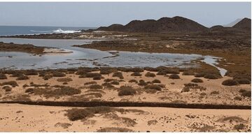Imagen de Vuelta a la isla de Lobos