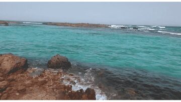 Imagen de Vuelta a la isla de Lobos
